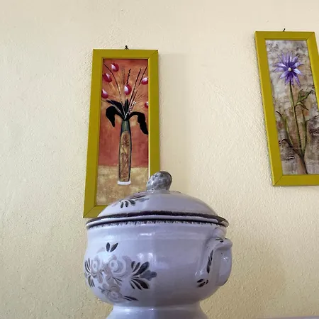 Mimosa شقة *