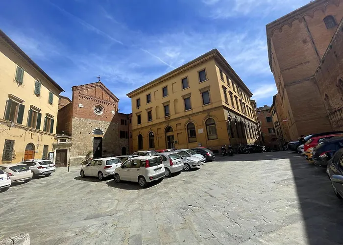 Mimosa * Siena