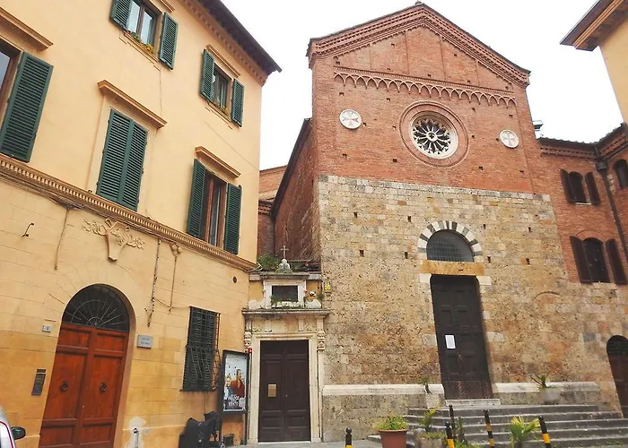 Mimosa Siena
