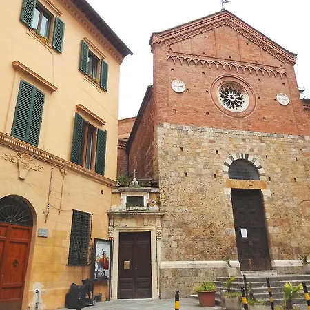 Mimosa Siena